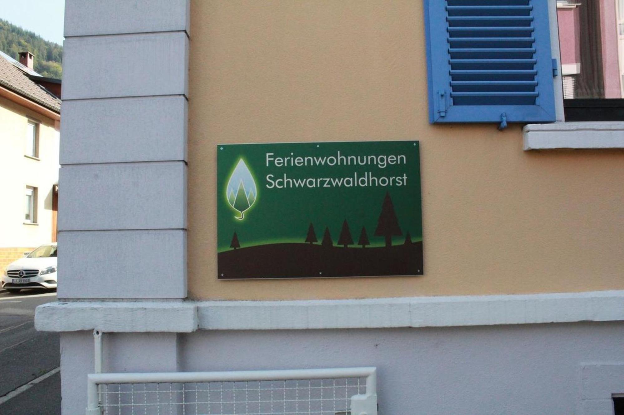 Schwarzwaldhorst 1 Fuer 8 Gaeste In Todtnau, Liftverbund Feldberg Luaran gambar